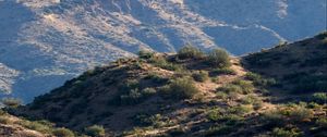 Preview wallpaper hills, grass, cacti, slope