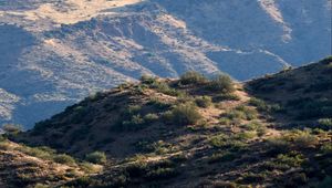 Preview wallpaper hills, grass, cacti, slope