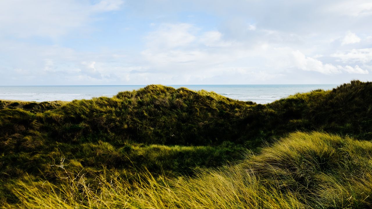 Wallpaper hills, grass, coast, sea