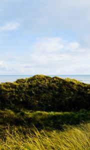 Preview wallpaper hills, grass, coast, sea
