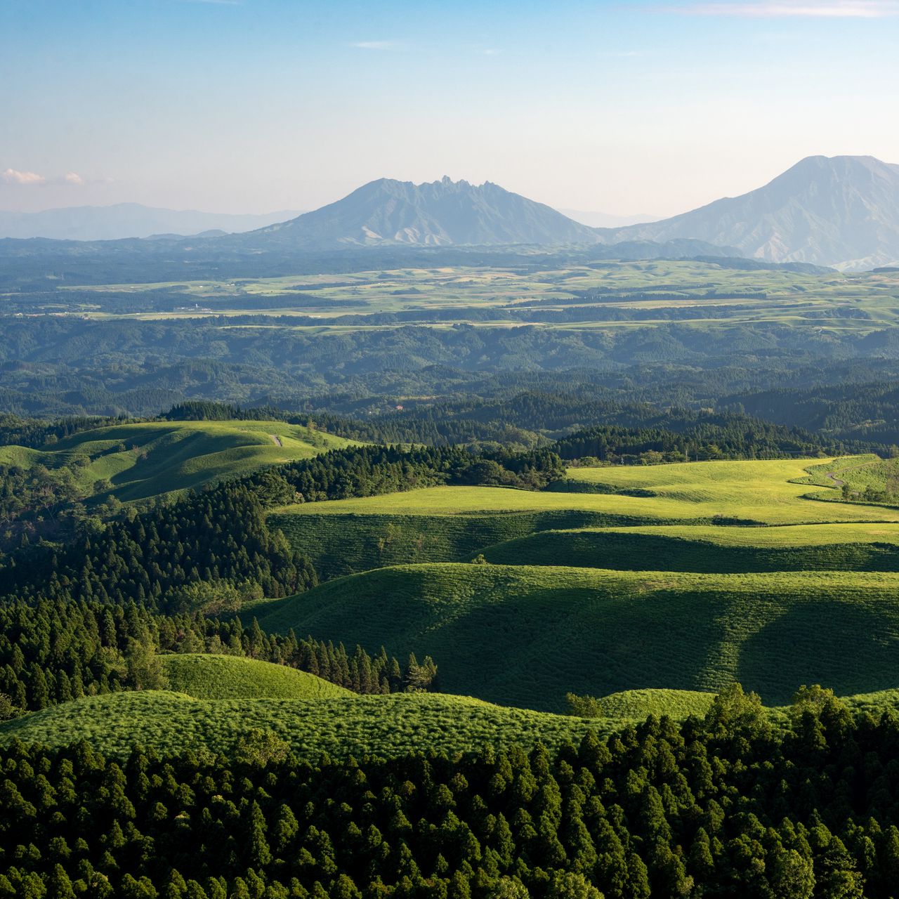 1280x1280 Wallpaper hills, grass, mountains, trees, landscape