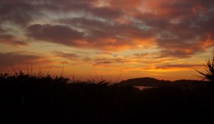Preview wallpaper hills, grass, silhouettes, evening, sunset