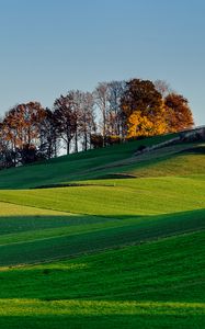 Preview wallpaper hills, grass, sky, trees