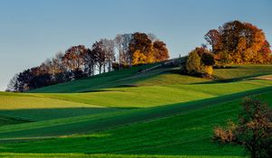 Preview wallpaper hills, grass, sky, trees