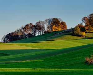 Preview wallpaper hills, grass, sky, trees