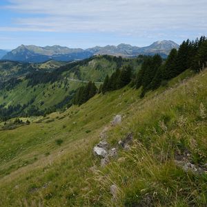 Preview wallpaper hills, grass, slope, trees, landscape, nature