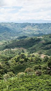 Preview wallpaper hills, grass, trees, view from above