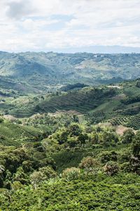 Preview wallpaper hills, grass, trees, view from above