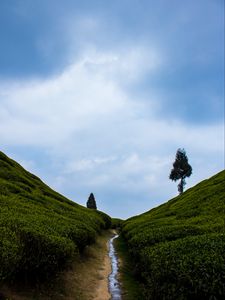 Preview wallpaper hills, greenery, stream, landscape, nature