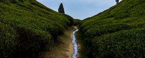 Preview wallpaper hills, greenery, stream, landscape, nature