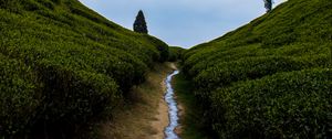 Preview wallpaper hills, greenery, stream, landscape, nature