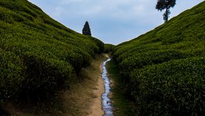 Preview wallpaper hills, greenery, stream, landscape, nature