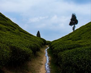 Preview wallpaper hills, greenery, stream, landscape, nature