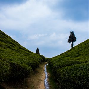 Preview wallpaper hills, greenery, stream, landscape, nature