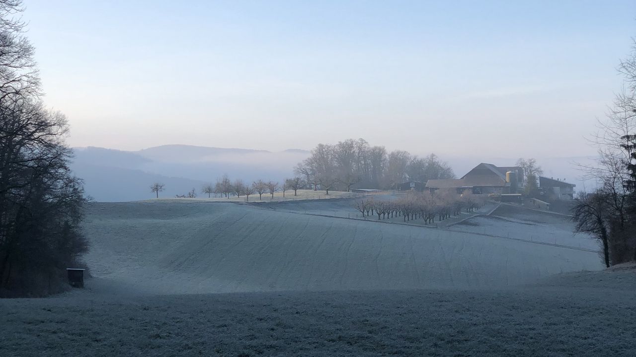 Wallpaper hills, house, trees, fog, nature, aesthetics