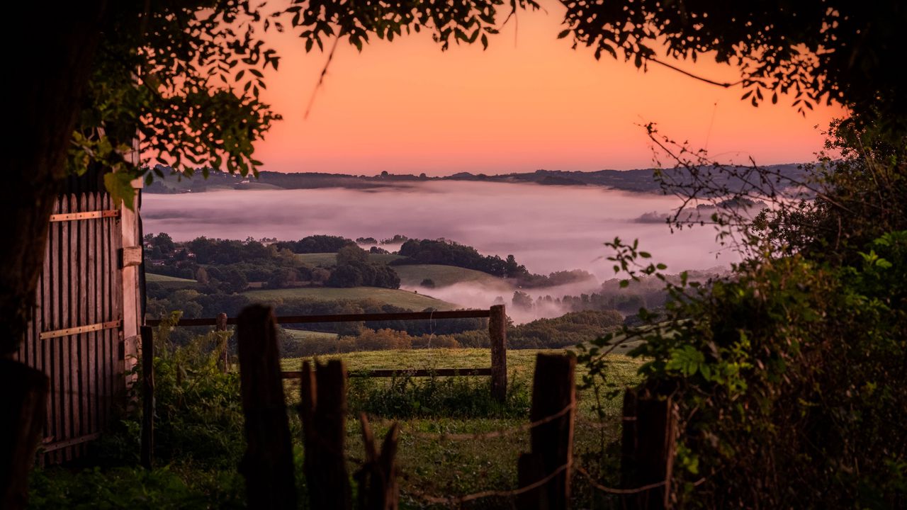 Wallpaper hills, landscape, fog, nature, branches