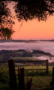 Preview wallpaper hills, landscape, fog, nature, branches