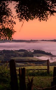 Preview wallpaper hills, landscape, fog, nature, branches