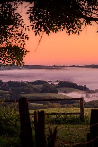 Preview wallpaper hills, landscape, fog, nature, branches