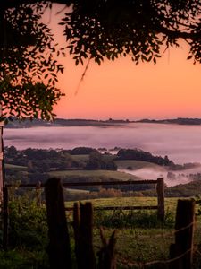 Preview wallpaper hills, landscape, fog, nature, branches