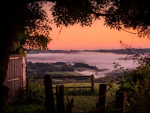 Preview wallpaper hills, landscape, fog, nature, branches