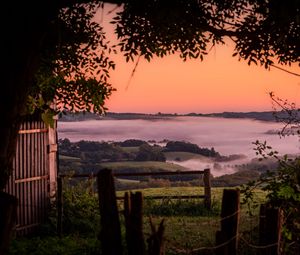 Preview wallpaper hills, landscape, fog, nature, branches