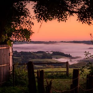 Preview wallpaper hills, landscape, fog, nature, branches