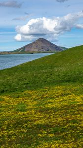 Preview wallpaper hills, landscape, mountain, sea, flowers