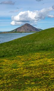 Preview wallpaper hills, landscape, mountain, sea, flowers