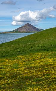 Preview wallpaper hills, landscape, mountain, sea, flowers