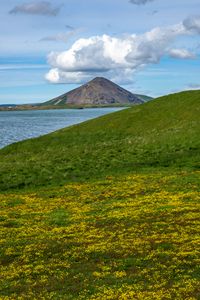 Preview wallpaper hills, landscape, mountain, sea, flowers