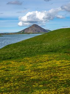 Preview wallpaper hills, landscape, mountain, sea, flowers