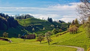 Preview wallpaper hills, landscape, trees, grass