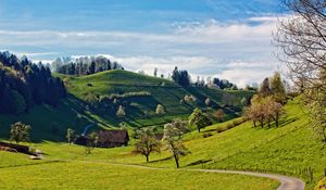 Preview wallpaper hills, landscape, trees, grass