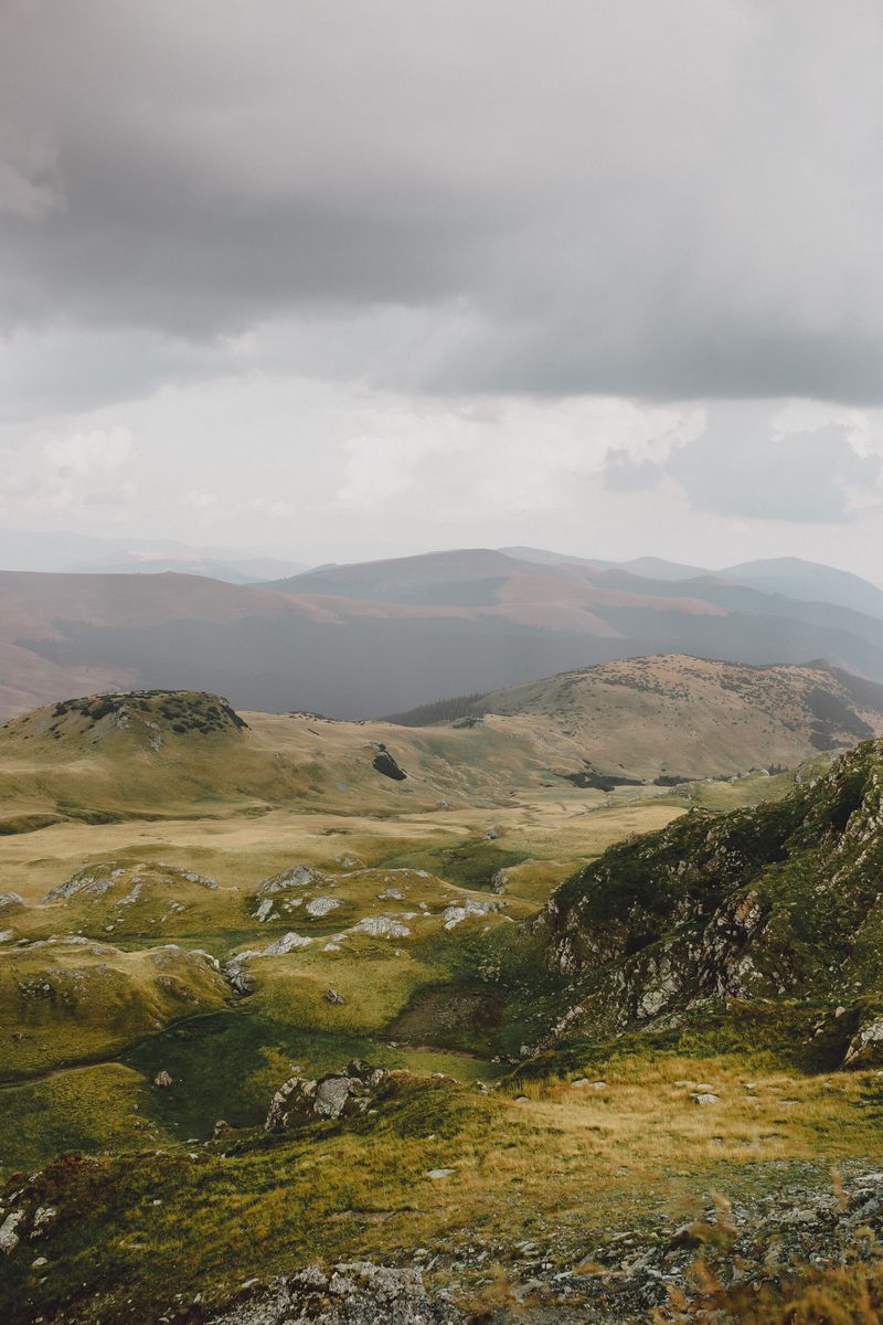 800x1200 Wallpaper hills, mountains, fog, relief, hilly