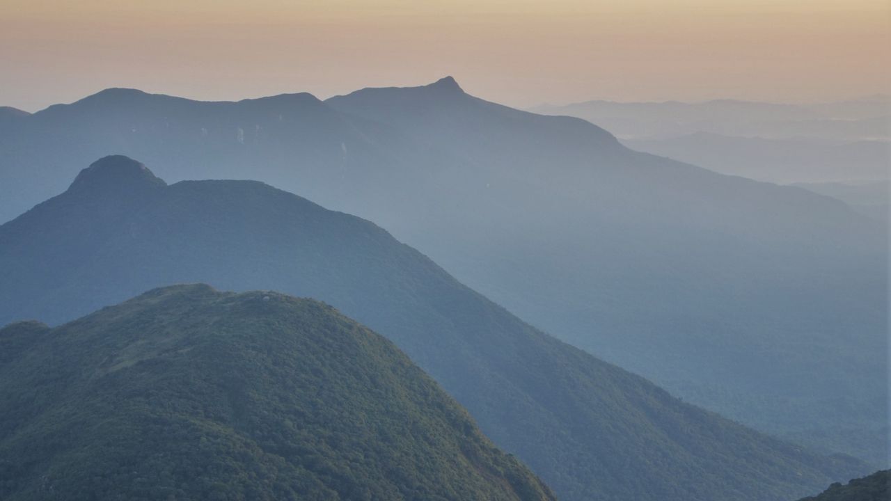 Wallpaper hills, mountains, forest, trees