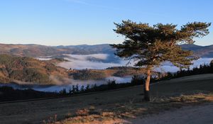 Preview wallpaper hills, mountains, trees, fog