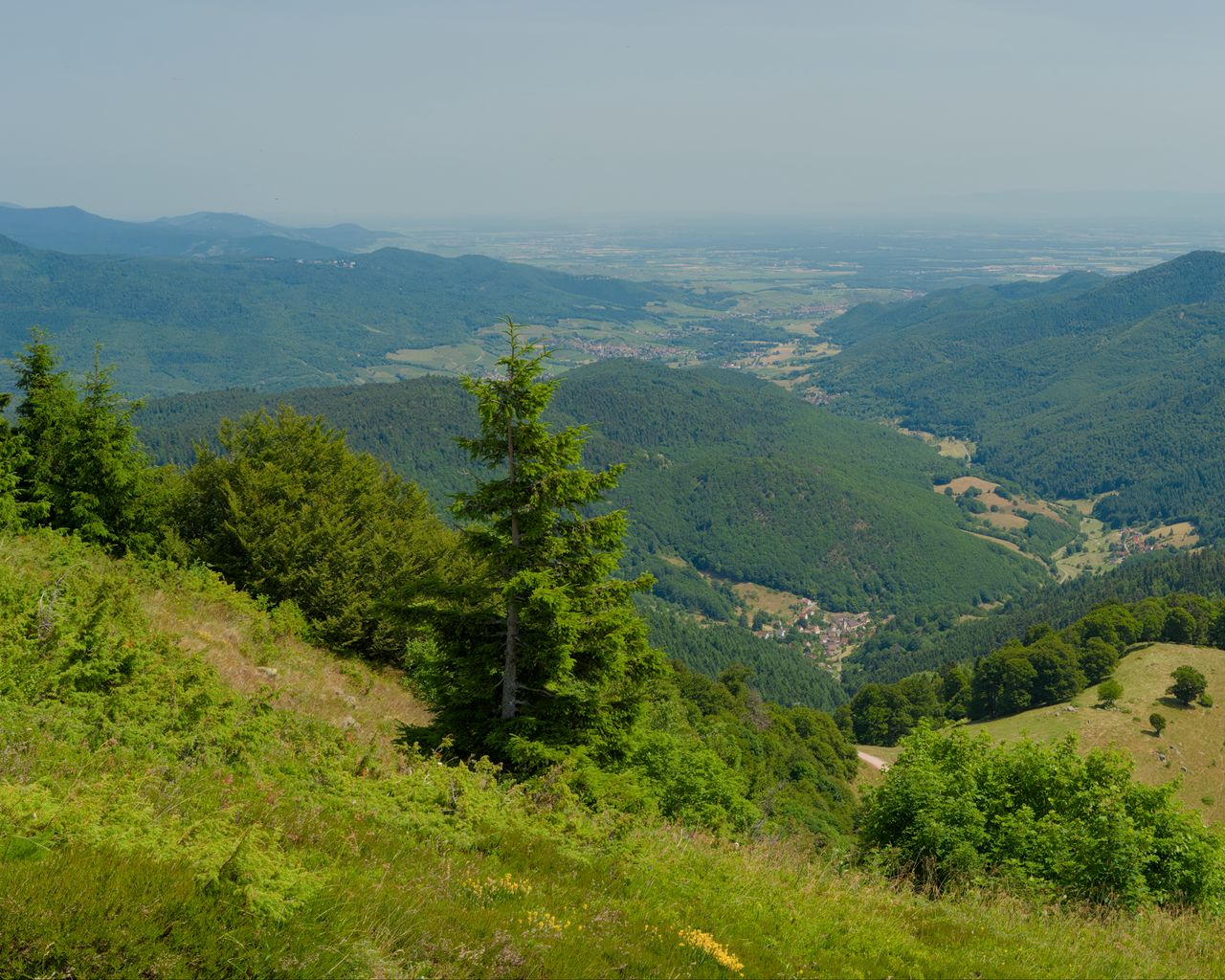 1280x1024 Wallpaper hills, mountains, trees, bushes, landscape