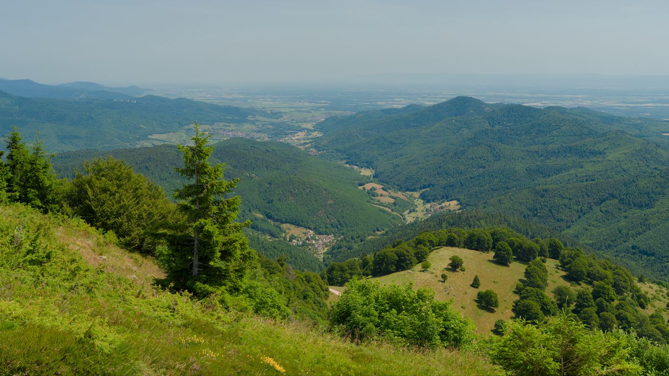 1366x768 Wallpaper hills, mountains, trees, bushes, landscape