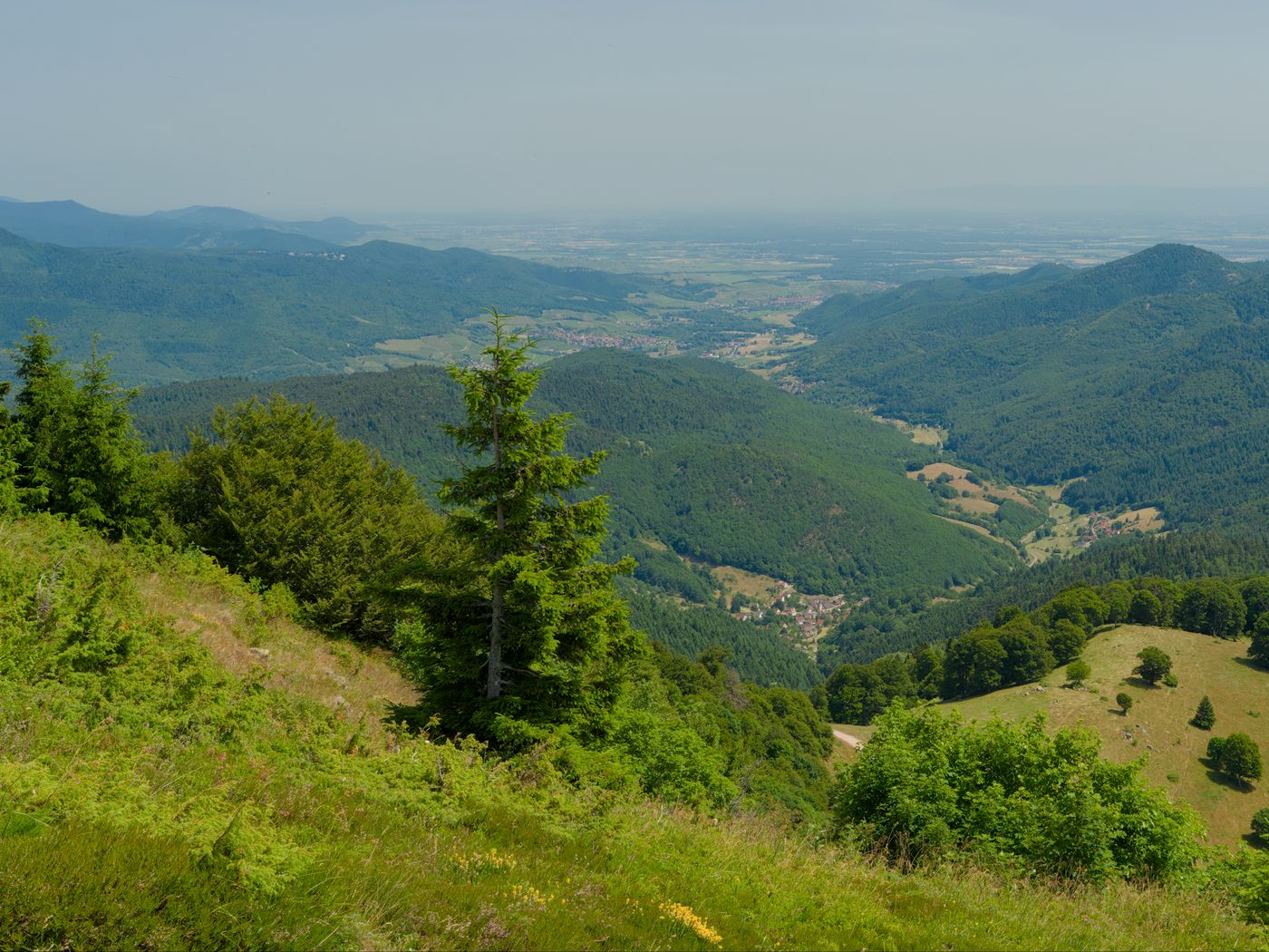 1400x1050 Wallpaper hills, mountains, trees, bushes, landscape