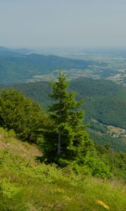 Preview wallpaper hills, mountains, trees, bushes, landscape