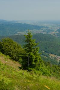 Preview wallpaper hills, mountains, trees, bushes, landscape