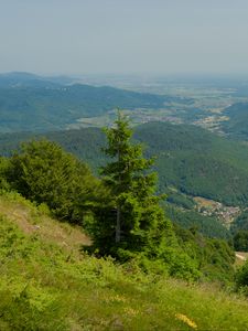 Preview wallpaper hills, mountains, trees, bushes, landscape