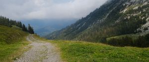 Preview wallpaper hills, path, trees, nature, landscape