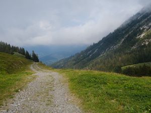 Preview wallpaper hills, path, trees, nature, landscape
