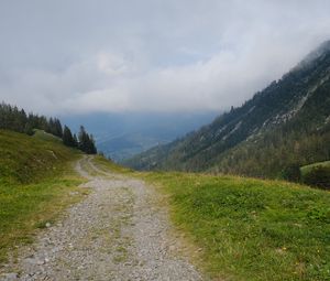 Preview wallpaper hills, path, trees, nature, landscape