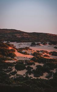 Preview wallpaper hills, relief, bushes, evening
