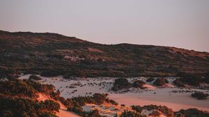Preview wallpaper hills, relief, bushes, evening