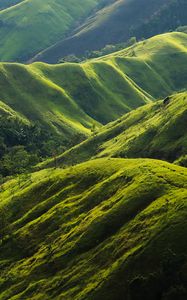 Preview wallpaper hills, relief, greenery, trees, nature, landscape