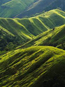 Preview wallpaper hills, relief, greenery, trees, nature, landscape